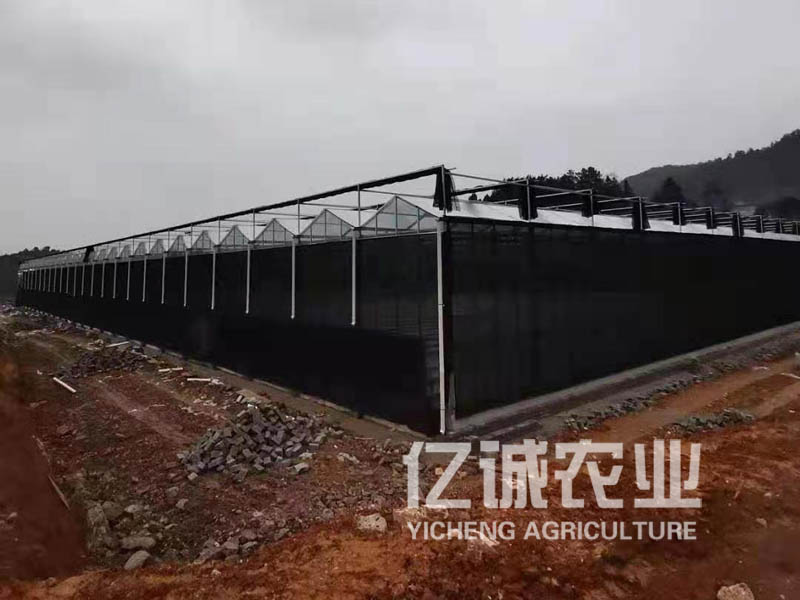 河南中牟溫室工程施工現(xiàn)場